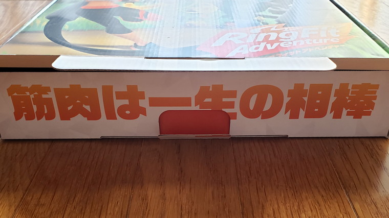箱を開けた瞬間からワクワク感が止まりません